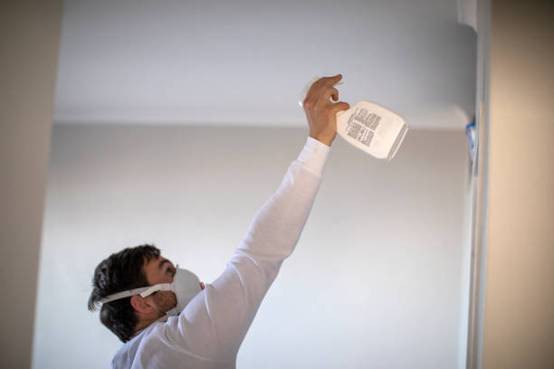 Best Localized Mold Remediation (e.g., coastal areas, humid climates) in Rochelle, IL