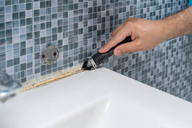 Best Mold Remediation for Specific Building Types in Rochelle, IL